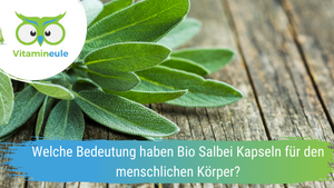 Welche Bedeutung haben Bio Salbei Kapseln für den menschlichen Körper?