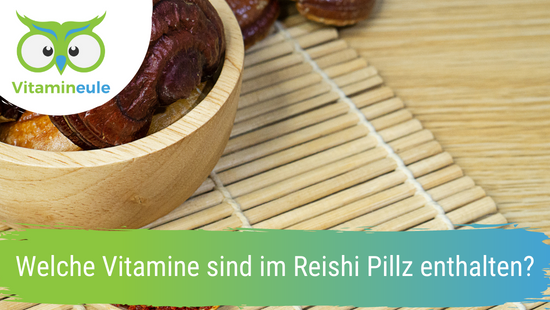 Welche Vitamine sind im Reishi Pilz enthalten?