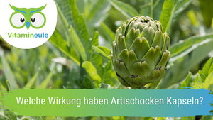 Welche Wirkung haben Artischocken Kapseln?
