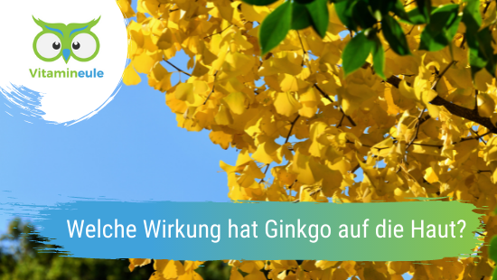 What effect does ginkgo have on the skin?