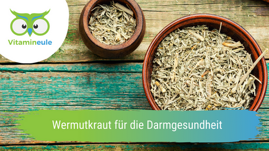 Wermutkraut für die Darmgesundheit