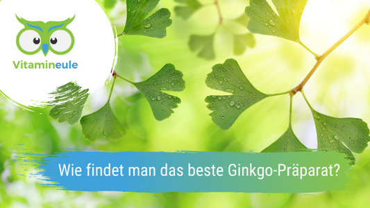 Wie findet man das beste Ginkgo-Präparat?