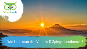 Wie kann man den Vitamin D Spiegel bestimmen?