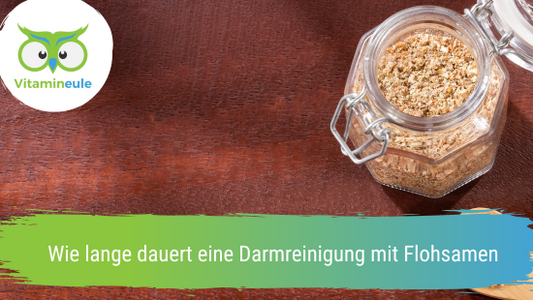 Wie lange dauert eine Darmreinigung mit Flohsamen