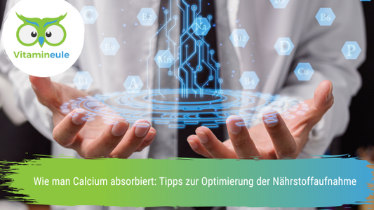 Wie man Calcium absorbiert: Tipps zur Optimierung der Nährstoffaufnahme