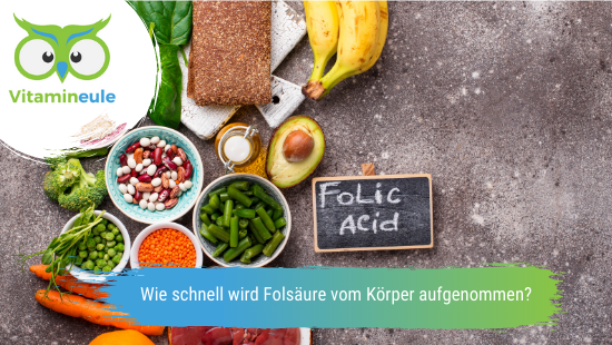 Wie schnell wird Folsäure vom Körper aufgenommen?