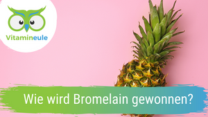 How is bromelain obtained?