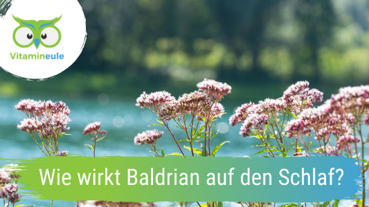 Wie wirkt Baldrian auf den Schlaf?