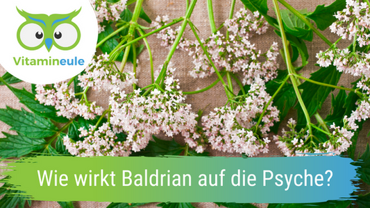 Wie wirkt Baldrian auf die Psyche?