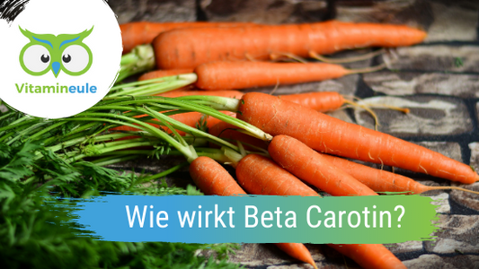 Wie wirkt Beta Carotin (Provitamin A) im menschlichen Körper?