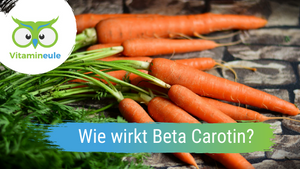 How does beta carotene (provitamin A) work in the human body?