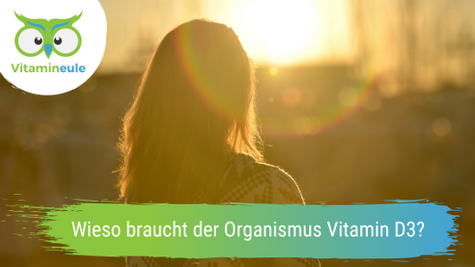 Wieso braucht der Organismus Vitamin D3?