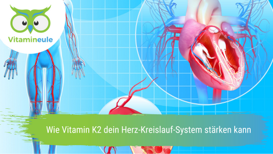 Wie Vitamin K2 dein Herz-Kreislauf-System stärken kann