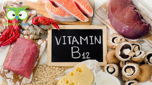 Vitamin B12 - Wirkung, Mangel und Lebensmittel