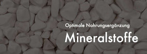 Mineralstoffe, Spurenelemente und Mineralien von Vitamineule® im Onlineshop kaufen