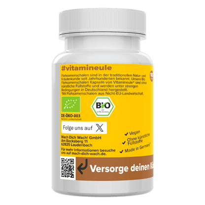 Bio Flohsamenschalen Kapseln
