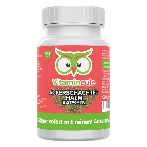 Ackerschachtelhalm Kapseln